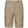 Vêtements Homme Shorts / Bermudas Mountain Warehouse Trek Beige