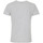 Vêtements Homme T-shirts manches courtes Degré Celsius T-shirt manches courtes homme CERGIO Gris