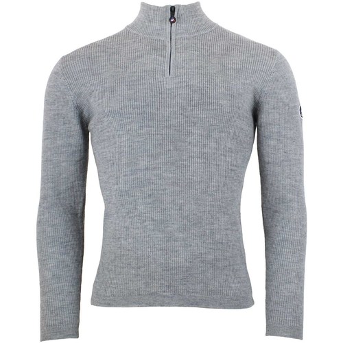 Vêtements Homme Pulls Peak Mountain Pull homme CHARLY Gris
