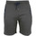 Vêtements Homme Shorts / Bermudas Degré Celsius Short homme CORELIE Gris