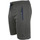 Vêtements Homme Shorts / Bermudas Degré Celsius Short homme CORELIE Gris