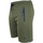 Vêtements Homme Shorts / Bermudas Degré Celsius Short homme CORELIE Vert
