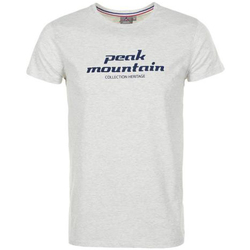 Vêtements Homme T-shirts manches courtes Peak Mountain T-shirt manches courtes homme COSMO Gris