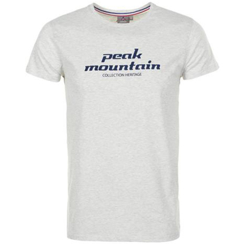 Vêtements Homme Ea7 Emporio Arma Peak Mountain T-shirt manches courtes homme COSMO Gris