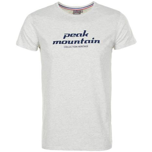 Vêtements Homme Reebok Big Got This Kurzarm T-Shirt Peak Mountain T-shirt manches courtes homme COSMO Gris