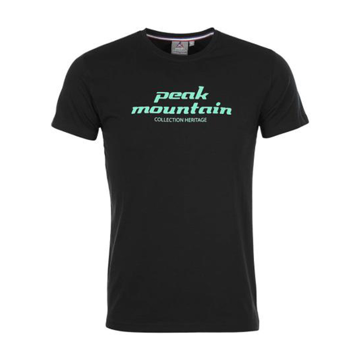 Vêtements Homme T-shirts manches courtes Peak Mountain T-shirt manches courtes homme COSMO Noir