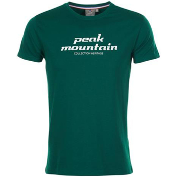 Vêtements Homme Serviettes et gants de toilette Peak Mountain T-shirt manches courtes homme COSMO Vert
