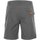 Vêtements Homme Shorts / Bermudas Peak Mountain Short de randonnée homme CUAD Gris