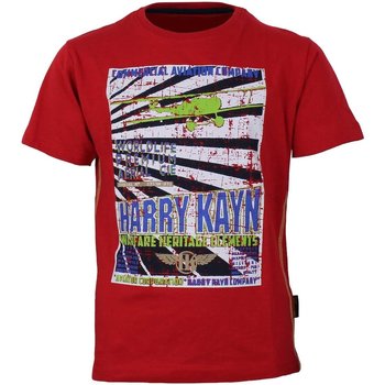Vêtements Garçon T-shirts manches courtes Harry Kayn T-shirt manches courtesgarçon ECEBANUP Rouge