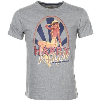 Vêtements Garçon T-shirts manches courtes Harry Kayn T-shirt manches courtes garçon ECELINUP GRIS