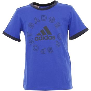 adidas Originals Logo roy grc set tee cdt Bleu