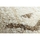 Sandales et Nu-pieds Tapis Rugsx Tapis PURE Carrés géométrique 5842-17731 crème 80x140 cm Beige