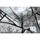Maison & Déco Tapis Rugsx Tapis moderne COZY 8873 Cracks, béton fissuré 120x170 cm Gris