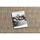 Maison & Déco Tapis Rugsx Moderno FISY tapis SIZAL 20789 mélange arc-en-cie 200x290 cm Vert