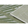 Maison & Déco Tapis Rugsx Tapis SIZAL SION Feuilles de palmier, tropical 80x150 cm Beige