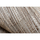 Maison & Déco Tapis Rugsx Tapis SIZAL PATIO 3069 Treillis marocain tissé 155x220 cm Beige