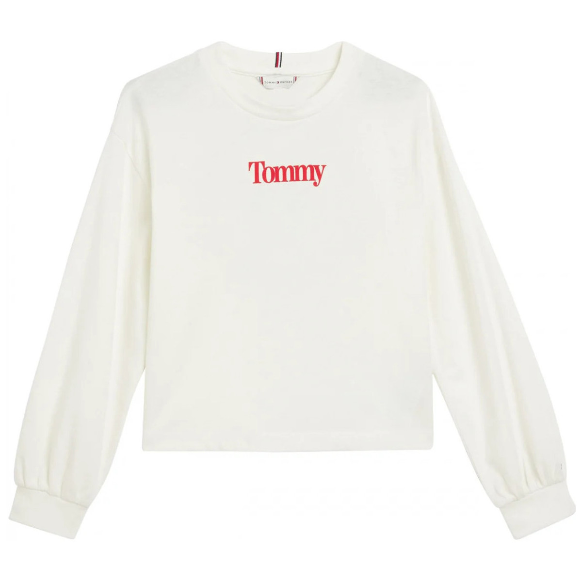 Vêtements Fille Sweats Tommy Hilfiger 139747VTAH22 Blanc