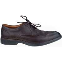 Chaussures Homme Derbies & Richelieu Clarks Daily Walk Marron