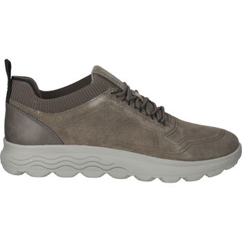 Chaussures Homme Baskets basses Geox Sneaker Beige