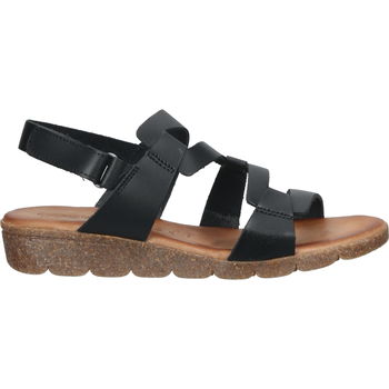 Chaussures Femme Sandales et Nu-pieds Cosmos Comfort 6191802 Sandales Noir