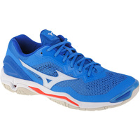Chaussures Homme Sport Indoor Mizuno Running / trail Bleu