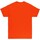 Vêtements Homme T-shirts manches courtes Thrasher  Orange