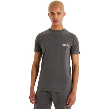 Vêtements Homme holiday by emma mulholland clothing Ellesse  Gris
