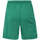 Vêtements Homme Shorts / Bermudas Kappa Short Borgo Vert