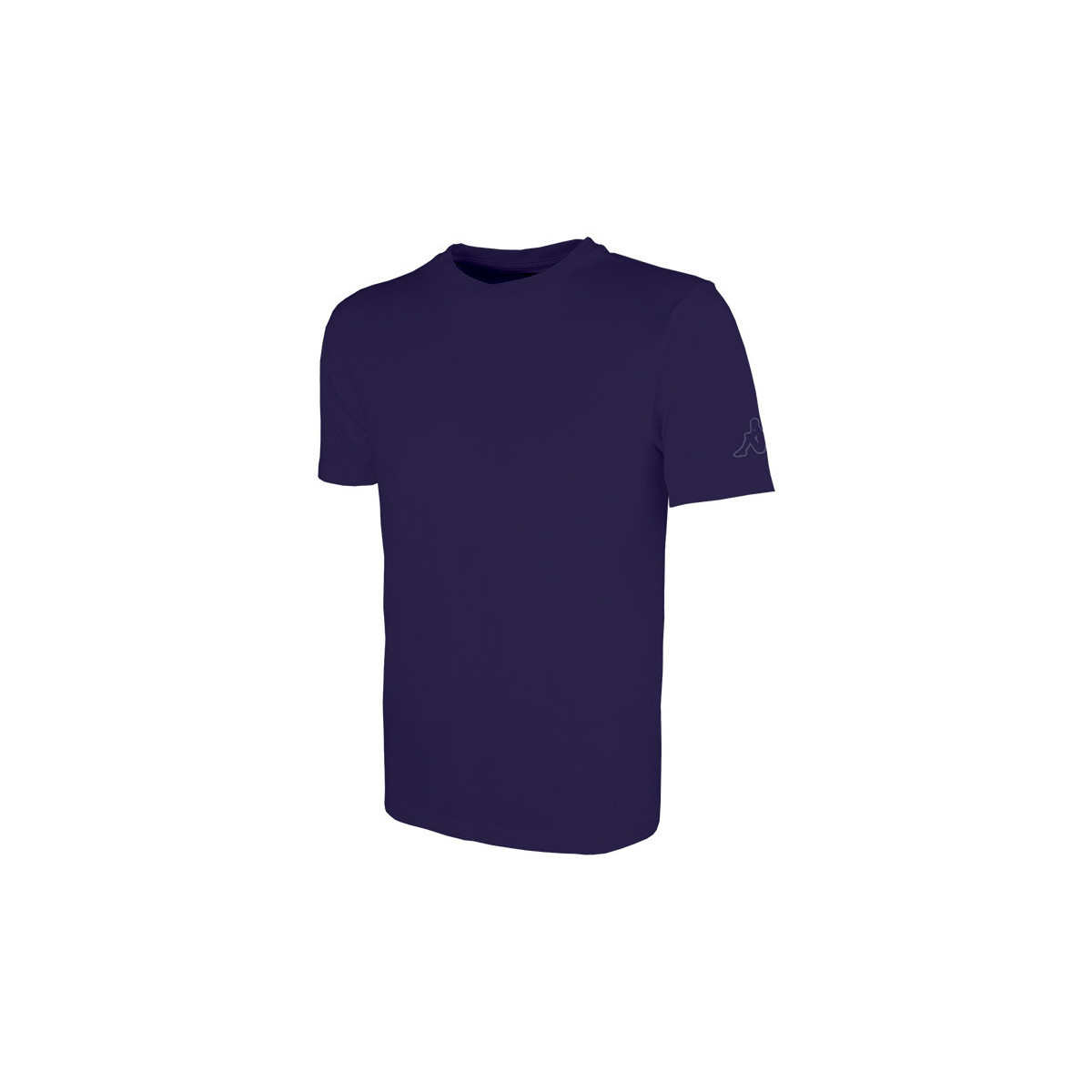 Vêtements Homme T-shirts manches courtes Kappa T-shirt Rieti Bleu