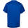 Vêtements Homme T-shirts manches courtes Kappa Maillot Basket Calascia Bleu