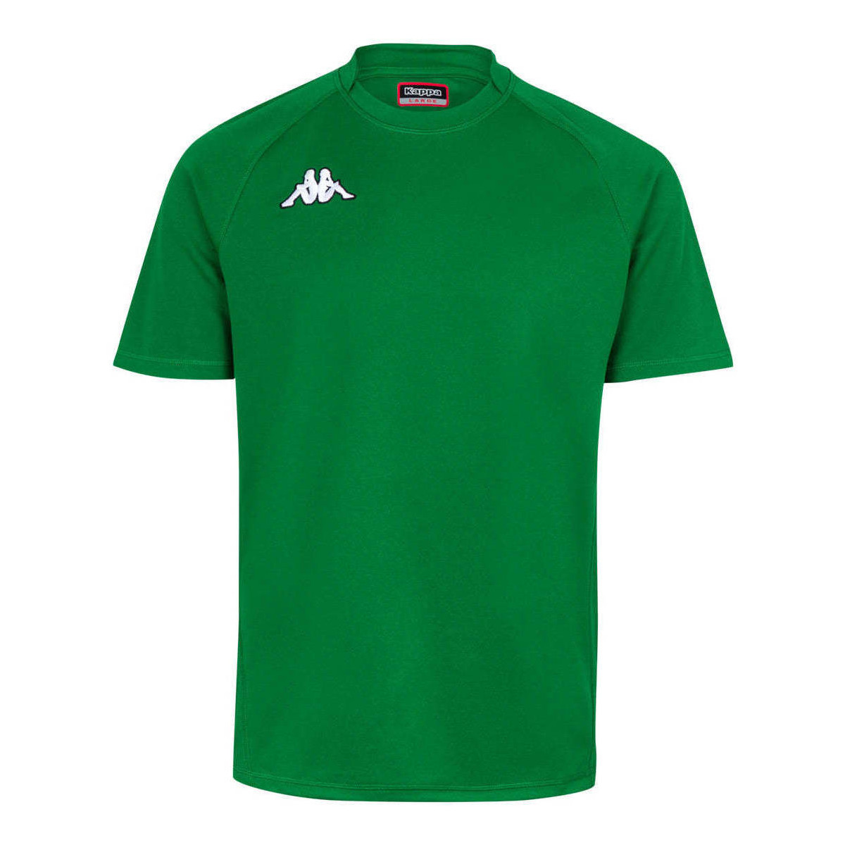 Vêtements Garçon T-shirts manches courtes Kappa Maillot Rugby Telese Vert