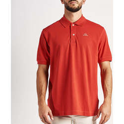 Vêtements Homme T-shirts & Polos Kappa Polo Aarau Robe di Rouge