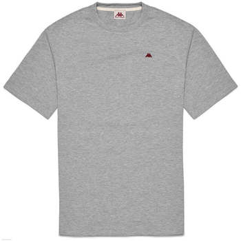 Vêtements Homme T-shirts manches courtes Kappa T-shirt Darphis Robe di Gris