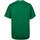 Vêtements Homme T-shirts manches courtes Kappa Maillot Basket Calascia Vert