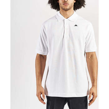Vêtements Homme T-shirts & Polos Kappa Polo Aarau Robe di Blanc