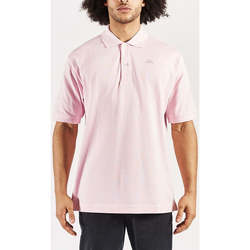 Vêtements Homme T-shirts & Polos Kappa Polo Aarau Robe di Rose