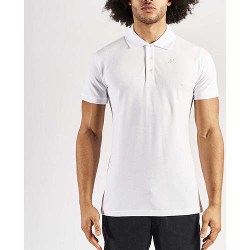 Vêtements Homme T-shirts & Polos Kappa Polo Ned Robe di Blanc