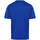 Vêtements Garçon T-shirts manches courtes Kappa Maillot Dovo Bleu