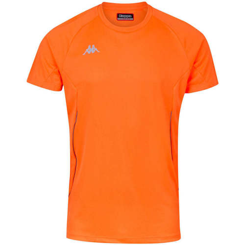 Vêtements Homme T-shirts manches courtes Kappa T-shirt Fanio Orange