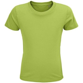Vêtements Enfant T-shirts & Polos Sols CRUSADER KIDS Vert