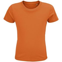 Vêtements Enfant T-shirts & Polos Sols CRUSADER KIDS Orange