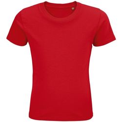 Vêtements Enfant T-shirts & Polos Sols PIONNER KIDS Rouge