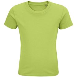 Vêtements Enfant T-shirts & Polos Sols PIONNER KIDS Vert
