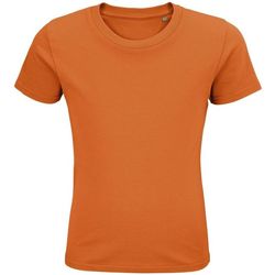 Vêtements Enfant T-shirts & Polos Sols PIONNER KIDS Orange