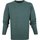 Vêtements Homme Sweats William Lockie Pull Agneline Vert Moyen Vert