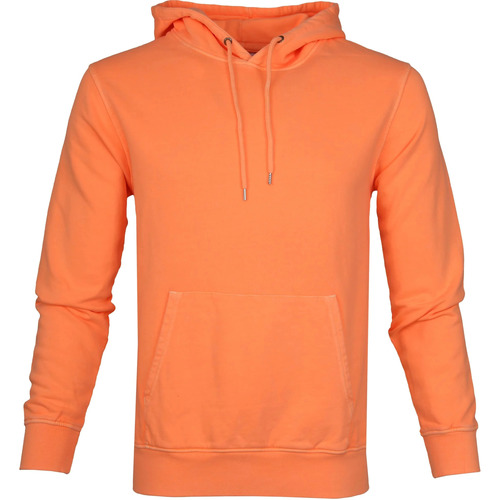 Vêtements Homme Sweats Colorful Standard Sweat à Capuche Orange Fluo Orange