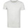 Vêtements Homme T-shirts & Polos Dstrezzed T-shirt Mc Queen Gris Clair Gris