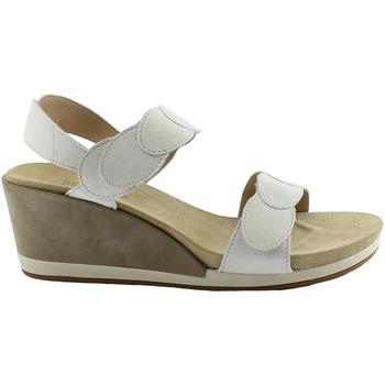 Chaussures Femme Sandales et Nu-pieds Benvado BEN-RRR-43007001-WH Blanc