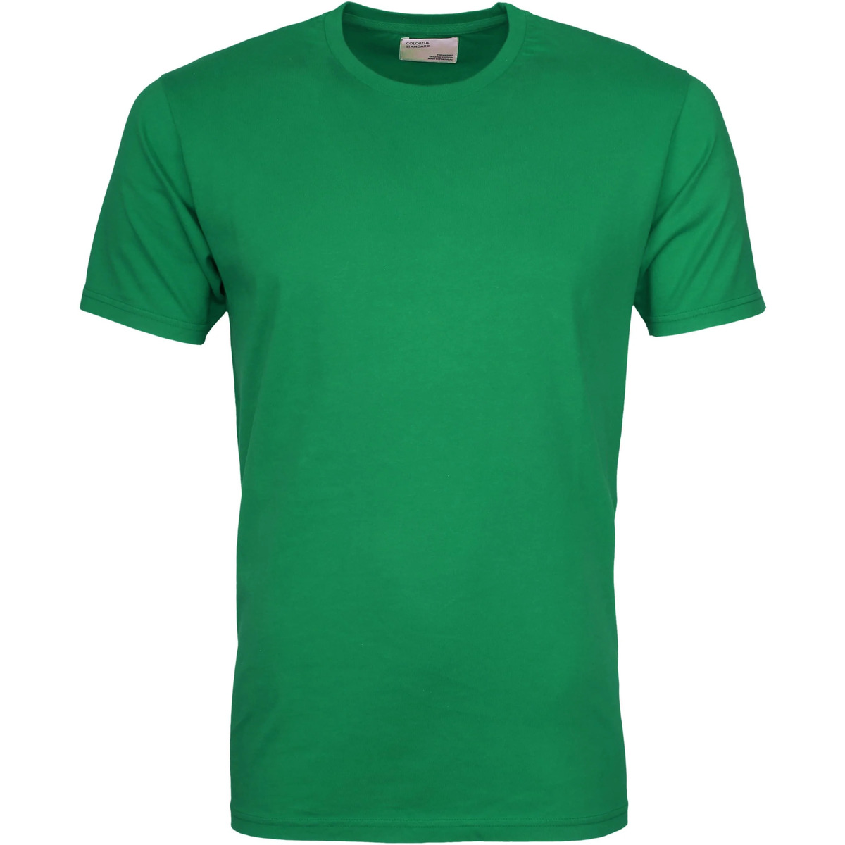 Vêtements Homme T-shirts & Polos Colorful Standard T-shirt Vert Vert