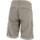 Vêtements Homme Shorts / Bermudas Timezone Stanley gris short Gris